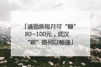 通勤族每月可“赚”80~100元，武汉“碳”路何以畅通