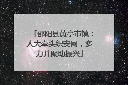 邵阳县黄亭市镇：人大牵头织安网，多力并聚助振兴