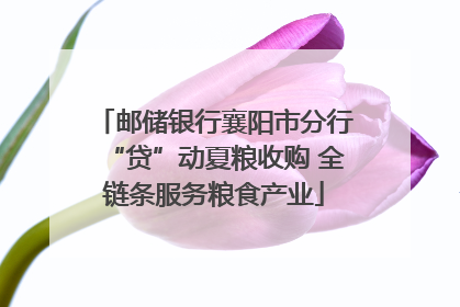 邮储银行襄阳市分行“贷”动夏粮收购 全链条服务粮食产业
