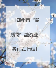 郑州市“豫质贷”融资业务正式上线