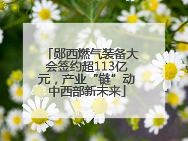 郧西燃气装备大会签约超113亿元，产业“链”动中西部新未来