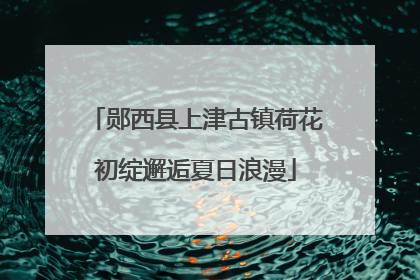 郧西县上津古镇荷花初绽邂逅夏日浪漫