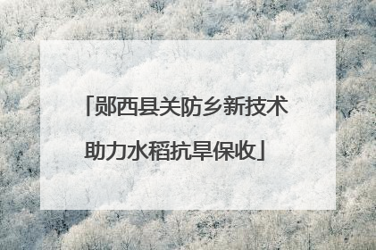 郧西县关防乡新技术助力水稻抗旱保收