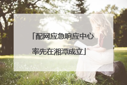 配网应急响应中心率先在湘潭成立