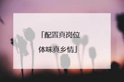 配置真岗位 体味真乡情