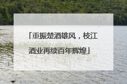 重振楚酒雄风，枝江酒业再续百年辉煌