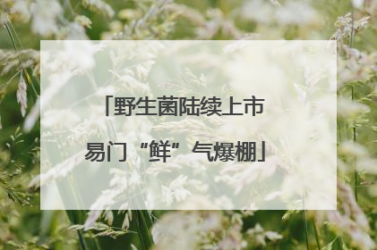 野生菌陆续上市 易门“鲜”气爆棚