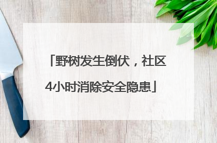 野树发生倒伏，社区4小时消除安全隐患