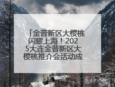 金普新区大樱桃闪耀上海！2025大连金普新区大樱桃推介会活动成功举办！