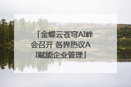 金蝶云苍穹AI峰会召开 各界热议AI赋能企业管理