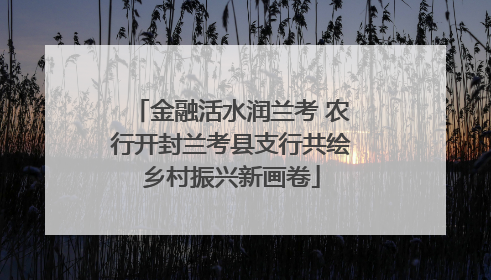金融活水润兰考 农行开封兰考县支行共绘乡村振兴新画卷
