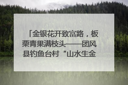 金银花开致富路，板栗青果满枝头——团风县钓鱼台村“山水生金”谱写共富新篇章