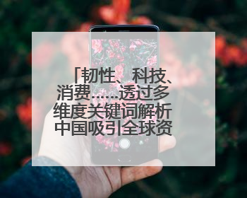韧性、科技、消费……透过多维度关键词解析中国吸引全球资本“新磁场”