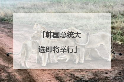 韩国总统大选即将举行