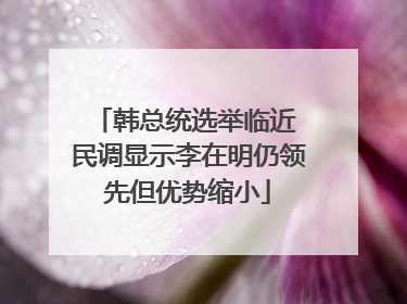 韩总统选举临近 民调显示李在明仍领先但优势缩小