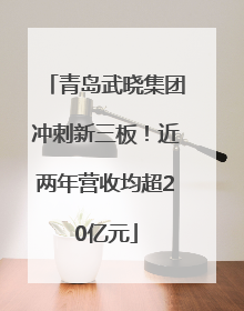 青岛武晓集团冲刺新三板！近两年营收均超20亿元