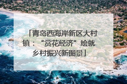 青岛西海岸新区大村镇：“赏花经济”绘就乡村振兴新图景