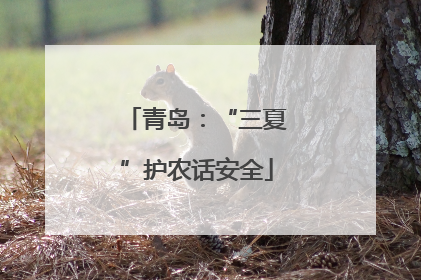青岛：“三夏”护农话安全