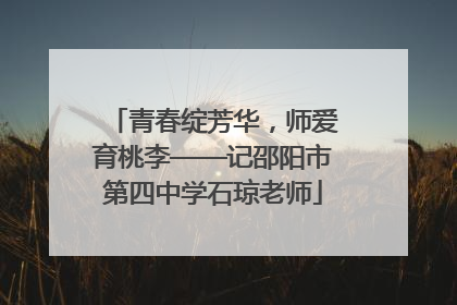 青春绽芳华，师爱育桃李——记邵阳市第四中学石琼老师