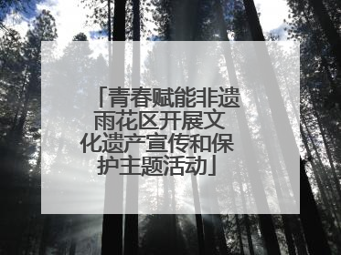 青春赋能非遗 雨花区开展文化遗产宣传和保护主题活动