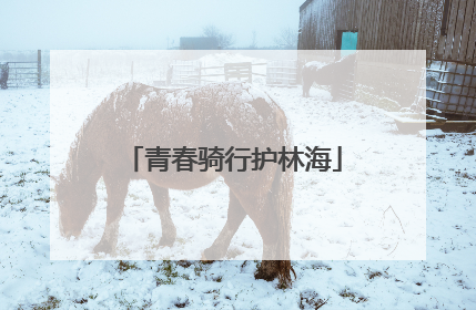 青春骑行护林海
