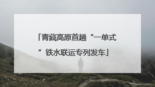 青藏高原首趟“一单式”铁水联运专列发车