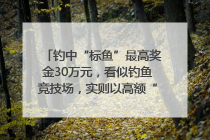 钓中“标鱼”最高奖金30万元，看似钓鱼竞技场，实则以高额“回报”作“饵”……｜今晚九点半