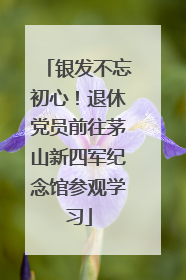 银发不忘初心！退休党员前往茅山新四军纪念馆参观学习