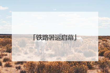 铁路暑运启幕