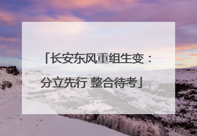 长安东风重组生变：分立先行 整合待考