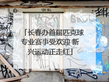 长春办首届匹克球专业赛事受欢迎 新兴运动正走红