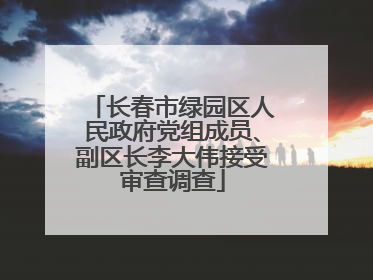长春市绿园区人民政府党组成员、副区长李大伟接受审查调查