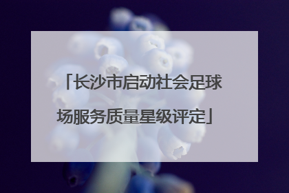 长沙市启动社会足球场服务质量星级评定