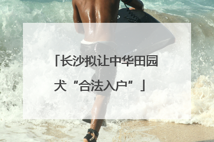 长沙拟让中华田园犬“合法入户”