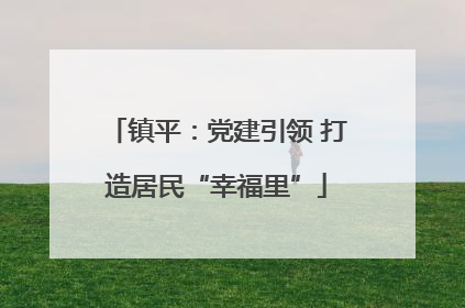 镇平：党建引领 打造居民“幸福里”