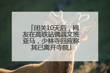 闭关10天后，网友在高铁站偶遇文班亚马，少林寺回应称其已离开寺院