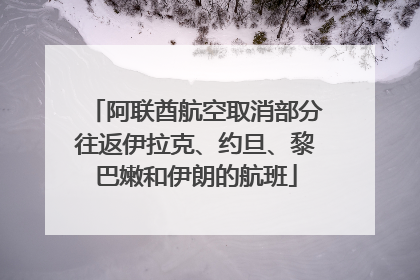 阿联酋航空取消部分往返伊拉克、约旦、黎巴嫩和伊朗的航班
