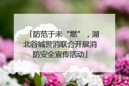 防范于未“燃”，湖北谷城警消联合开展消防安全宣传活动