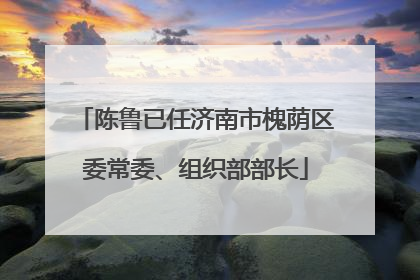 陈鲁已任济南市槐荫区委常委、组织部部长