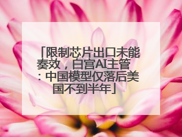 限制芯片出口未能奏效，白宫AI主管：中国模型仅落后美国不到半年