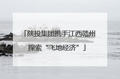 陕投集团携手江西赣州 探索“飞地经济”