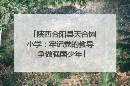 陕西合阳县天合园小学：牢记党的教导 争做强国少年