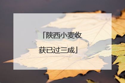 陕西小麦收获已过三成