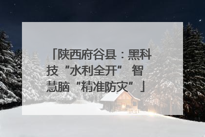 陕西府谷县：黑科技“水利全开” 智慧脑“精准防灾”