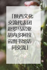陕西文化交流代表团赴罗马尼亚胡内多阿拉省图书馆访问交流