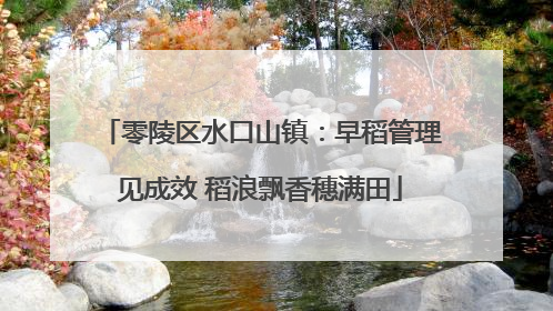 零陵区水口山镇：早稻管理见成效 稻浪飘香穗满田