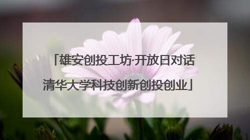 雄安创投工坊·开放日对话清华大学科技创新创投创业