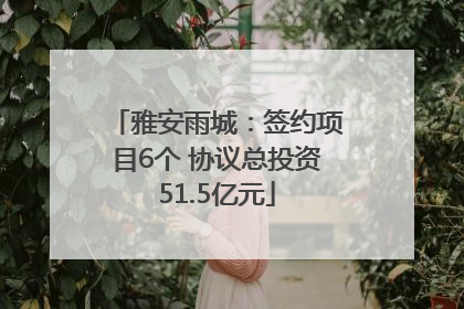 雅安雨城：签约项目6个 协议总投资51.5亿元