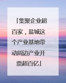 集聚企业超百家，盐城这个产业基地带动周边产业开票超百亿
