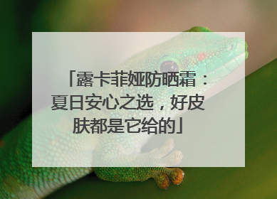 露卡菲娅防晒霜：夏日安心之选，好皮肤都是它给的